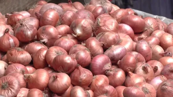 পেঁয়াজ রপ্তানি নিষিদ্ধ করল ভারত
