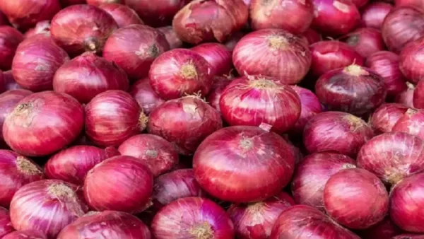 ১ কেজির বেশি পেঁয়াজ কিনতে লাগবে অনুমতি
