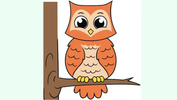 রাতের পাখি