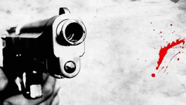 অস্ত্র উদ্ধারে নামতে ইসিতে আবেদন