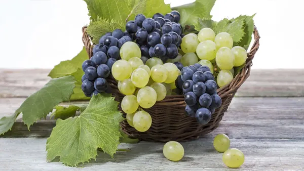 ‘ফলের রানি’ আঙুরের উপকারিতা