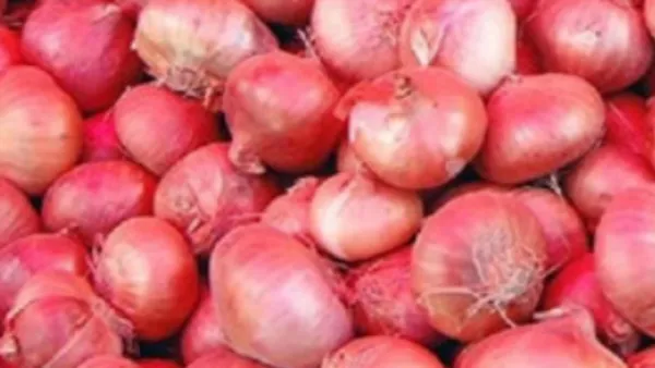 পেঁয়াজের দামে ঢাকা ও চট্টগ্রামে ভিন্ন চিত্র