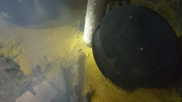 খিচুড়ি নিয়ে নিক্সন সমর্থকদের ‘তুঘলকি কাণ্ড’