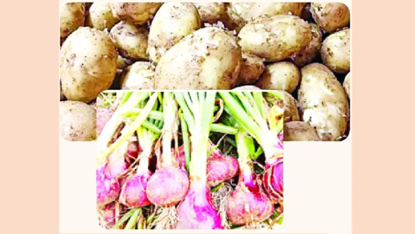 মৌসুমেও আলু পেঁয়াজে ভোক্তার পকেট কাটা