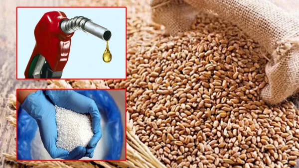 গম তেল সার আমদানিসহ ২০ দরপ্রস্তাব অনুমোদন