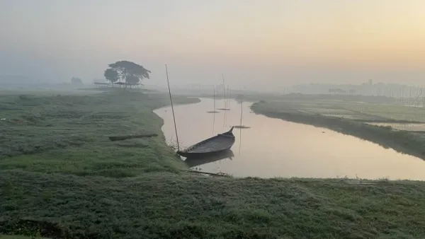 ঘন কুয়াশা আর ঠাণ্ডা বাতাসে জেঁকে বসেছে শীত
