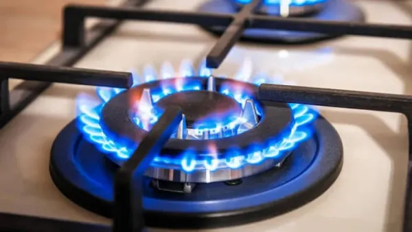 পিডিবি-বিসিআইসির কাছে ১০০০০ কোটি টাকা বকেয়া