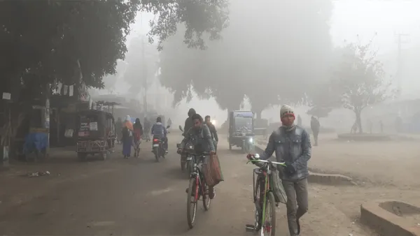 পঞ্চগড়ে তৃতীয় দফার শৈত্যপ্রবাহ, বিপাকে চাষিরা