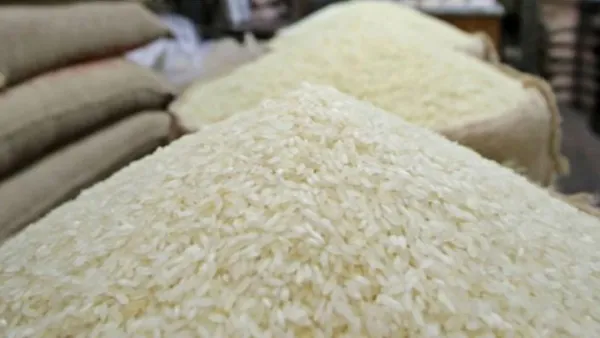 চালের দামবৃদ্ধিতে দায়ী পাইকারি ও খুচরা বিক্রেতারা
