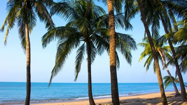 সেন্টমার্টিনে গিয়ে ফিরতে হলো লাশ হয়ে