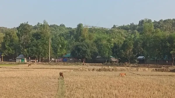 সীমান্তের ওপারে চলছে সংঘর্ষ, এপারে স্কুল বন্ধ