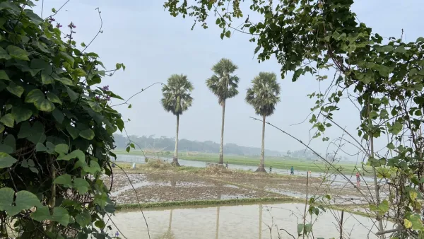 যেসব বিভাগে আজ বৃষ্টি হতে পারে