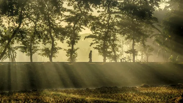 শীত কেমন থাকবে জানাল আবহাওয়া অফিস