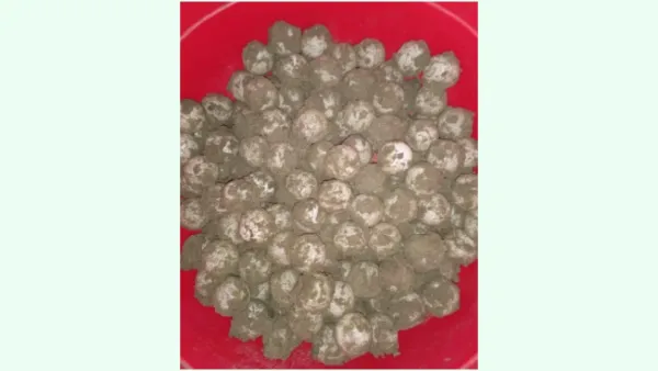 সৈকতে কচ্ছপের আরও ১৩২ ডিম