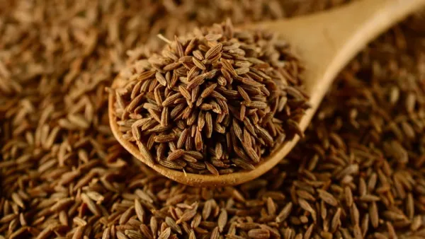 এক লাফে ৪০০ টাকা কমেছে জিরার দাম!