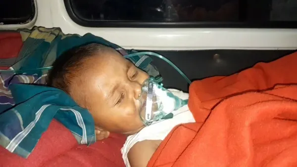 ভাত খেয়ে হাসপাতালে ভর্তি শিশু, মারা গেল হাঁস