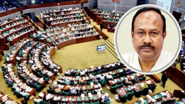 ‘কিশোর গ্যাংয়ের’ নানা অপরাধের চিত্র সংসদে তুলে ধরলেন চুন্নু