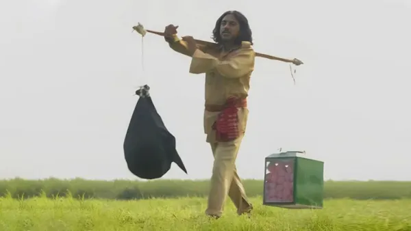 ইতালিতে ‘হাওয়াই মিঠাই’