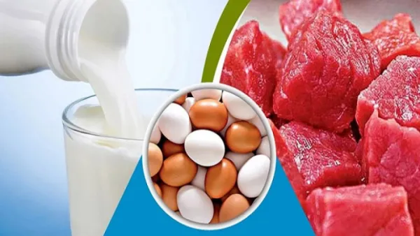 রমজানে কম দামে দুধ-ডিম-মাংস বিক্রি করবে সরকার