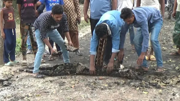 হাত দিয়েই তোলা যাচ্ছে কোটি টাকার সড়কের পিচ ঢালাই
