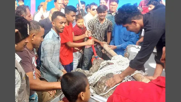 নোয়াখালীতে ৪৭ বছর ধরে আটকে রাখা কুমির উদ্ধার