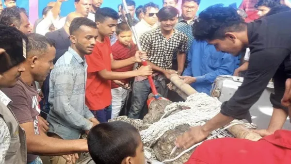 ৪৭ বছর ধরে পুকুরে আটকে রাখা ছিল কুমির