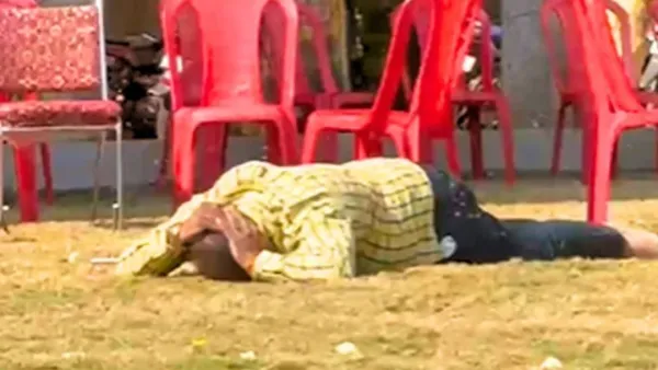 বিয়ে বাড়িতে মৌমাছির হানা, আহত ১২