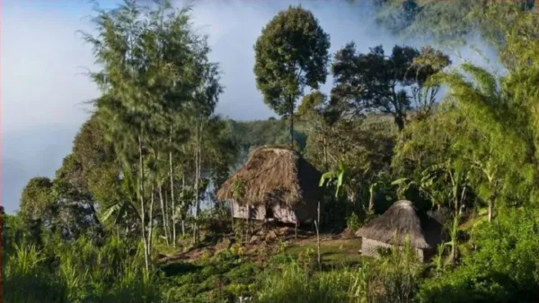 পাপুয়া নিউগিনিতে দুই গোত্রের মধ্যে গোলাগুলি, নিহত ৬৪