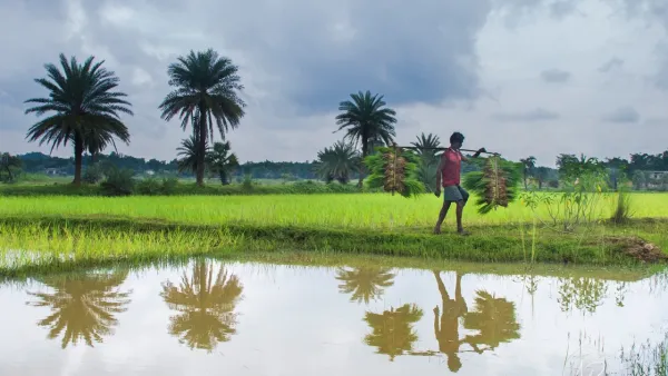 শীতের বিদায়বেলায় শিলাবৃষ্টির সঙ্গে ঝড়ের পূর্বাভাস