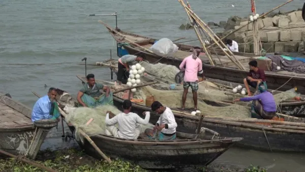 বৃহস্পতিবার থেকে পদ্মা-মেঘনায় মৎস্য আহরণে নিষেধাজ্ঞা