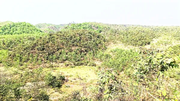 পর্যটকদের হাতছানি দিচ্ছে দাওধারা গারো পাহাড়