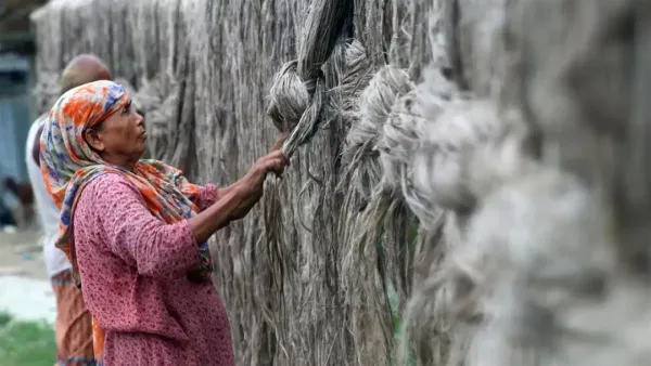 বাজার থাকলেও পাটের সুদিন ফিরছে না