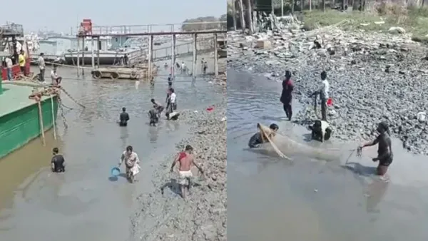 এস আলমের পোড়া চিনি পড়ছে কর্ণফুলীতে, মরছে মাছ