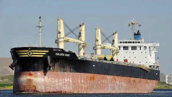 জলদস্যুরা কী আচরণ করেছে, অডিও বার্তায় জানালেন চিফ অফিসার