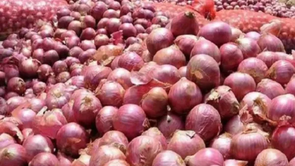 ভারত থেকে পেঁয়াজ আসছে আগামী সপ্তাহে