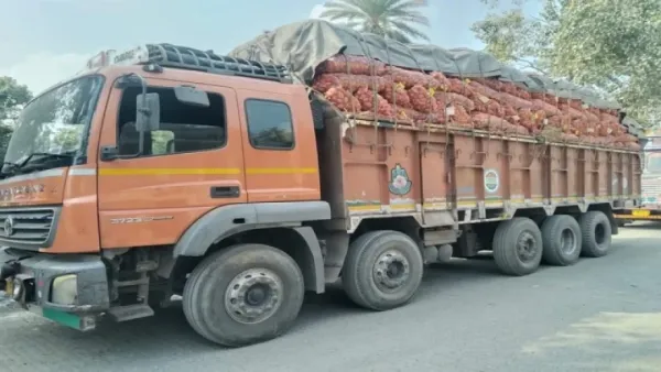 ভারত থেকে এল ৪০০ টন আলু