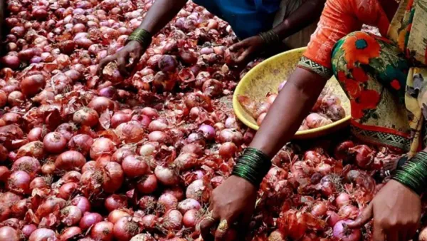 পেঁয়াজ রপ্তানি অনির্দিষ্টকালের জন্য বন্ধ করল ভারত