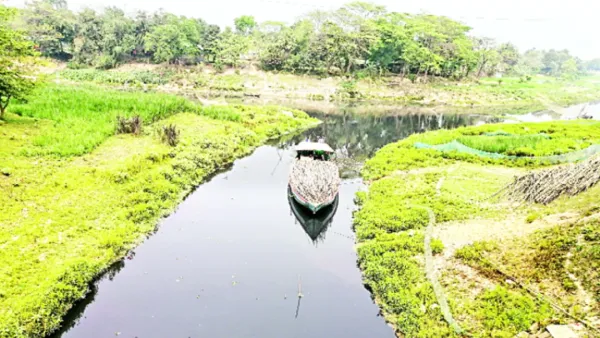 সুতিয়ায় মেশা বিষে বিনাশ শীতলক্ষ্যার জলজপ্রাণী