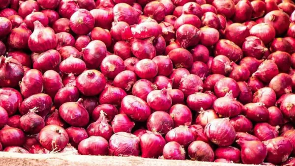 দেশে এল ১৬৫০ টন পেঁয়াজ