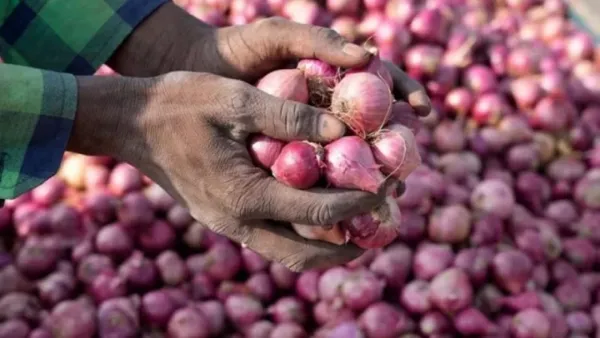৪০ টাকা কেজিতে বিক্রি হচ্ছে ভারতীয় পেঁয়াজ
