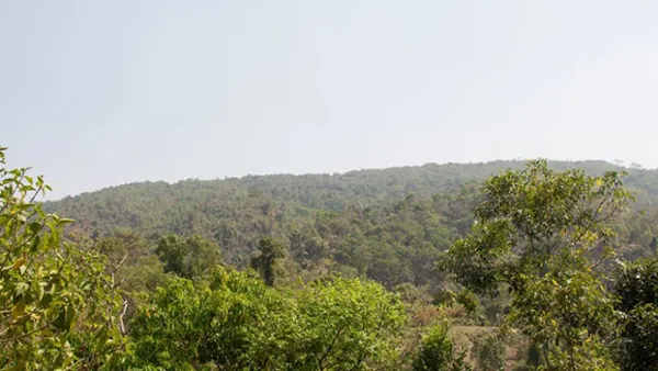 চোরাই পথে ভারতের কয়লা গুহায় গিয়ে যুবকের মৃত্যু