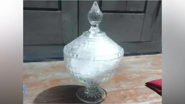 কোটি টাকার সাপের বিষ উদ্ধার