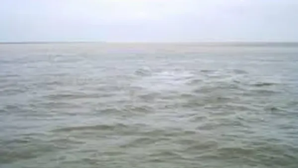 পদ্মায় গোসলে নেমে বাবা-ছেলেসহ নিখোঁজ ৩