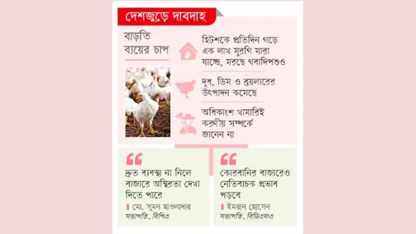 দিশাহারা খামারিরা