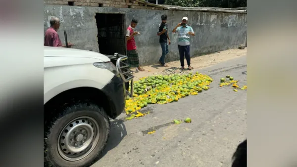 রাসায়নিকে পাকানো ৪০০ কেজি আম ধ্বংস