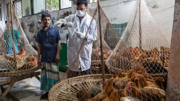 বাংলাদেশে সংক্রামক রোগ ও মহামারী মোবাবিলায় চালু হলো ওয়ান হেলথ প্রকল্প