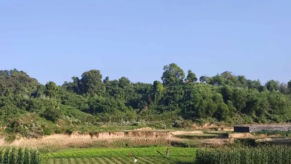 নাইক্ষ্যংছড়ি সীমান্তে মাইন বিস্ফোরণ, আহত ৩