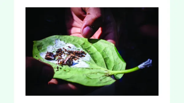 জেনেশুনে আমরা করছি না তো বিষ ‘পান’