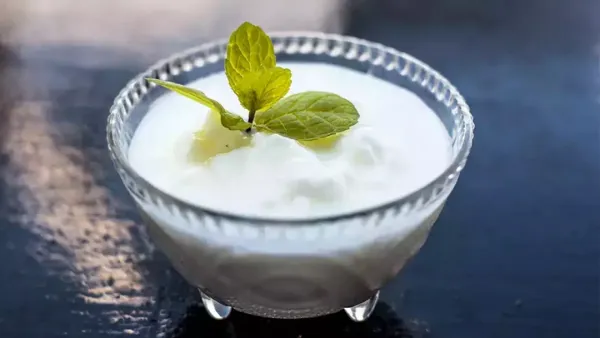 গরমে টক দই খাচ্ছেন? নিয়ম মেনে না খেলে পড়তে পারেন বিপাকে