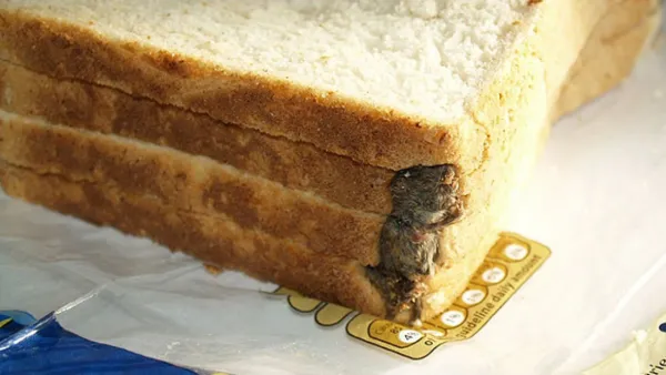 পাউরুটিতে মরা ইঁদুর, সরিয়ে নেওয়া হলো ১ লাখ প্যাকেট